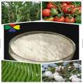 Plant growth regulator 98% (Indole 3 acetic acid) Indole acetic acid